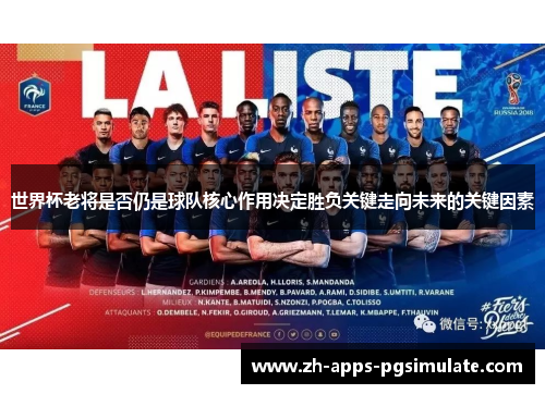 世界杯老将是否仍是球队核心作用决定胜负关键走向未来的关键因素